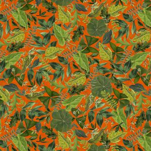 Coton Bio Canopée orange