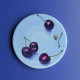 4 "Seasonal fruit" coasters