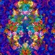 Coton Bio Melusine nuit