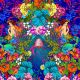 Coton Bio Melusine nuit