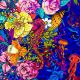 Coton Bio Melusine nuit