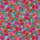 Coton Bio Presage