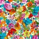Coton Bio Collection Complete LEGENDES