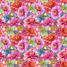 Zinia pink