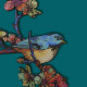 The Moineau Mobile