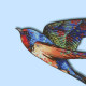 The Swallow Mobile No. 5