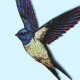 Le mobile Hirondelle n°6