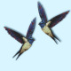 Le mobile Hirondelle n°6
