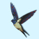 Le mobile Hirondelle n°6