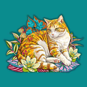 Le chat roux