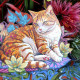 Le chat roux