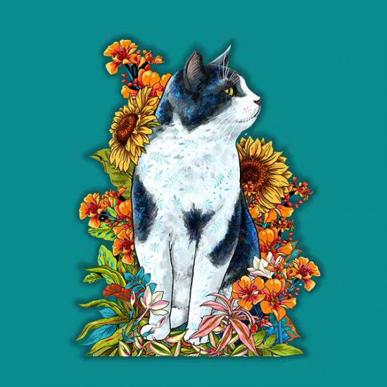 The black and white cat