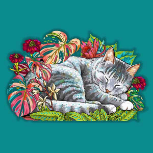Le chat endormi