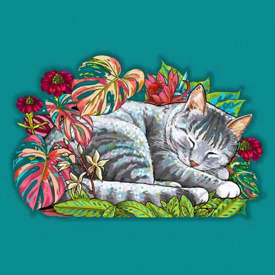 The sleeping cat