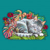 The sleeping cat