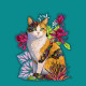 The Tri-Color Cat