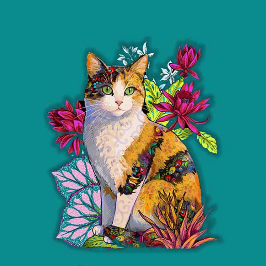The Tri-Color Cat