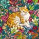 Coton Le Jardin des chats