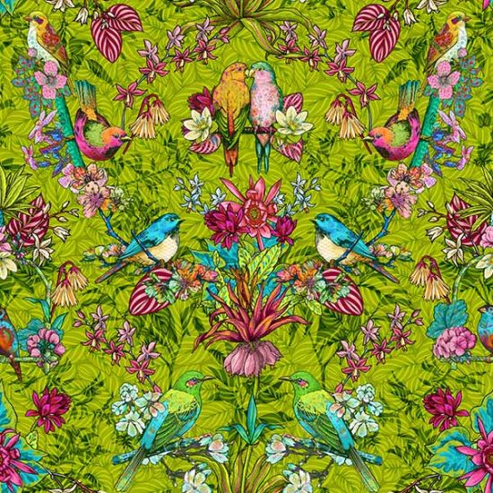 Coton Volière vert