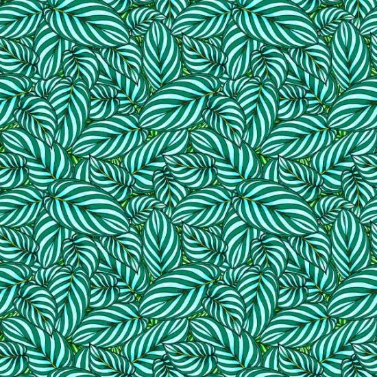 Coton Calathea vert