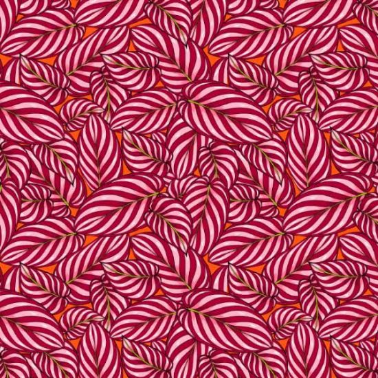 Cotton Calathea red