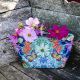 Sewing Kit : Pouch Cosmos