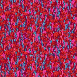 Coton Bio Champs d'Iris Rouge