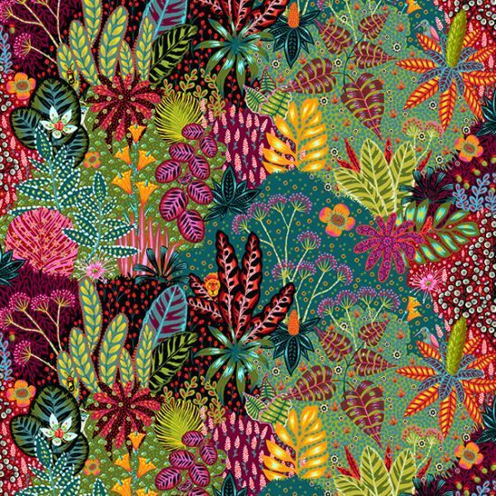 Coton Amazonia