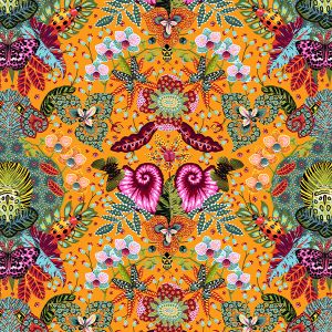 Coton Insectopia