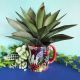 Amazonia Mug