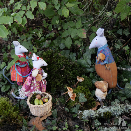 Promenade en forêt...